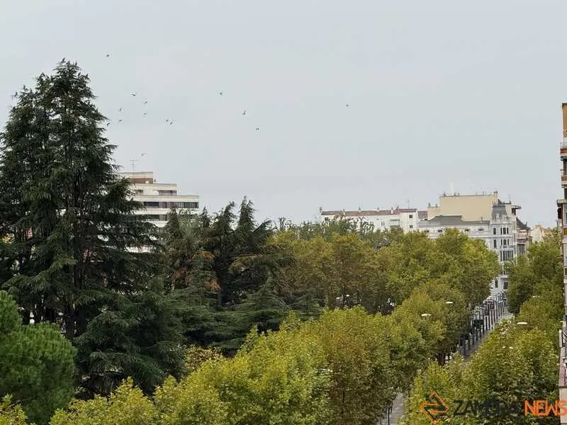 d&iacute;a de lluvia 