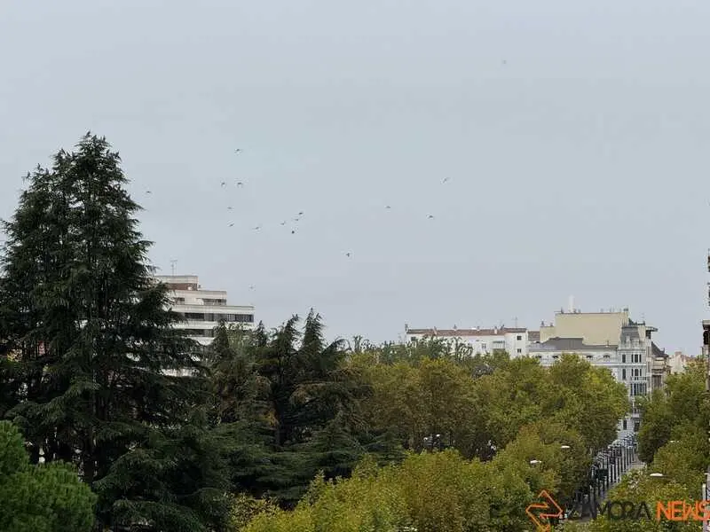 día de lluvia _2