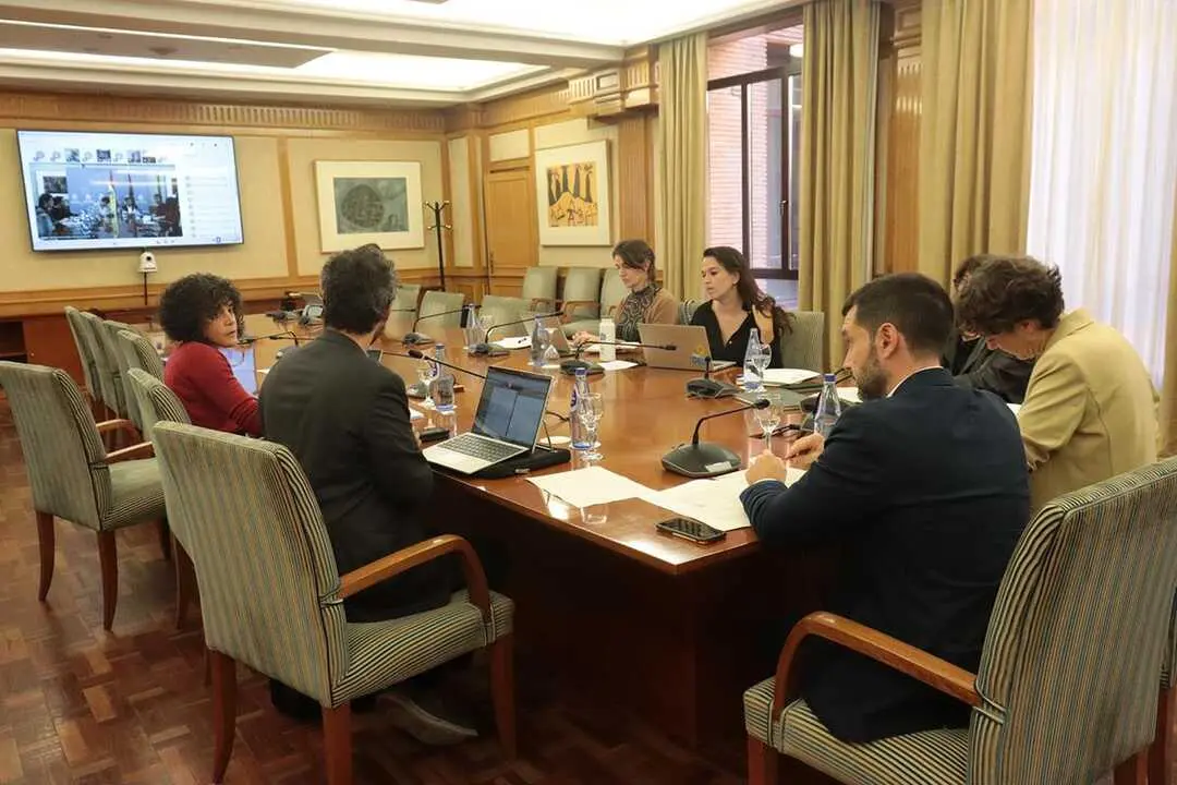 Pablo Bustinduy, preside por videoconferencia el pleno del Consejo Territorial de Servicios Sociales y del Sistema para la Autonomía y Atención a la Dependencia