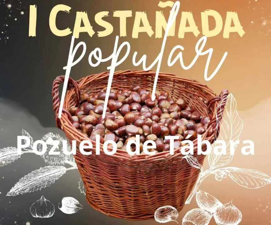 castañada Pozuelo de Tábara