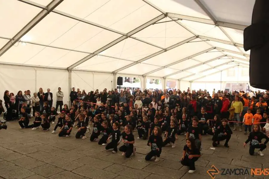 marcha TDAH y actuación Salsón Dance _19