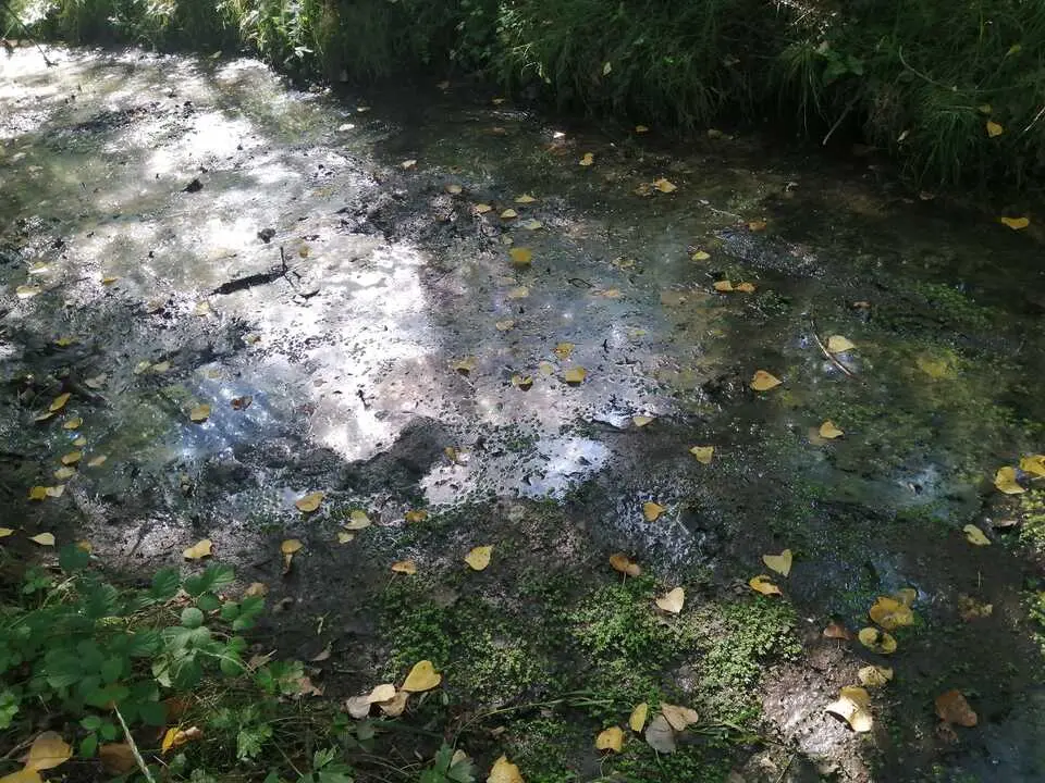 contaminacion zapatera 1