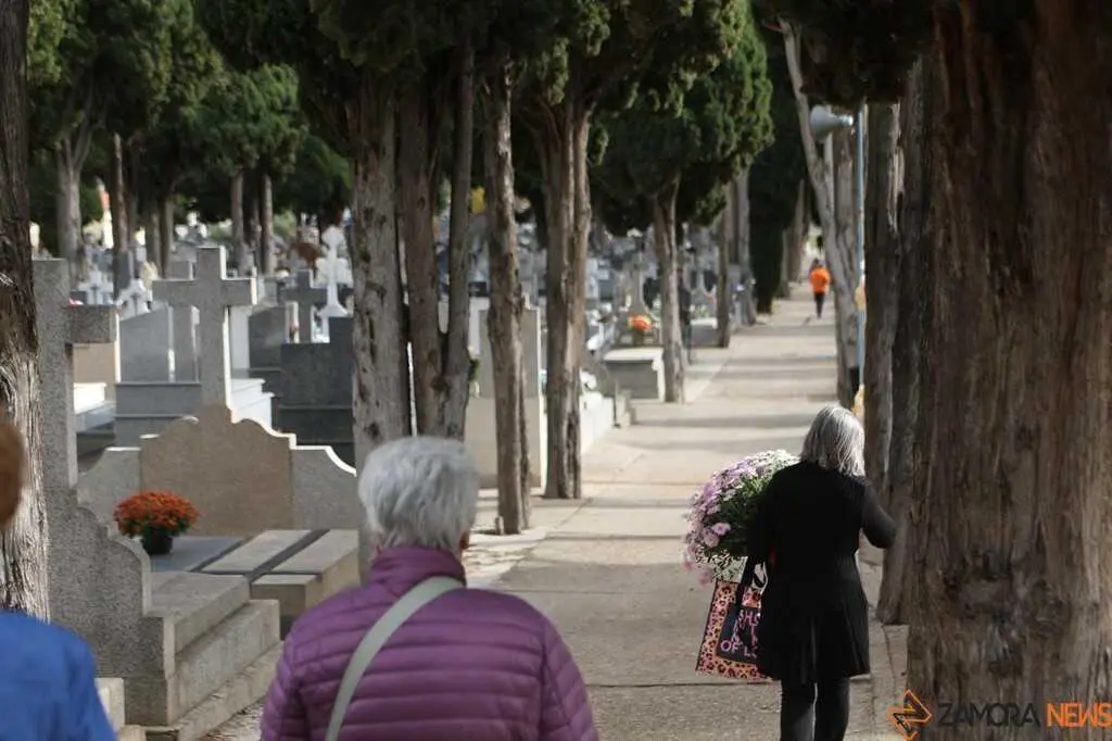 Cementerio de San Atilano