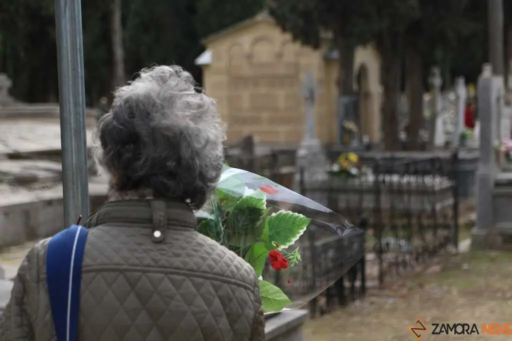 Cementerio San Atilano, Foto Marcos Vicente