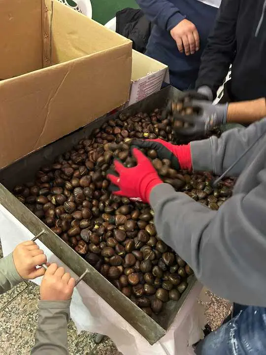 Castañada de Corrales del Vino