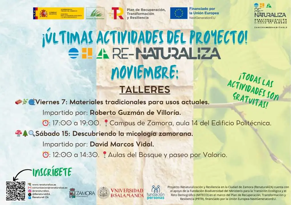 Actividades Noviembre