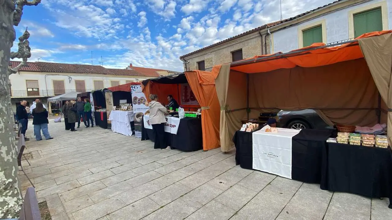 Feria de los Santos Fuentesaúco_2