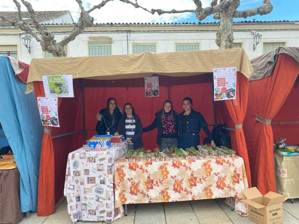 Feria de los Santos Fuentesaúco_6