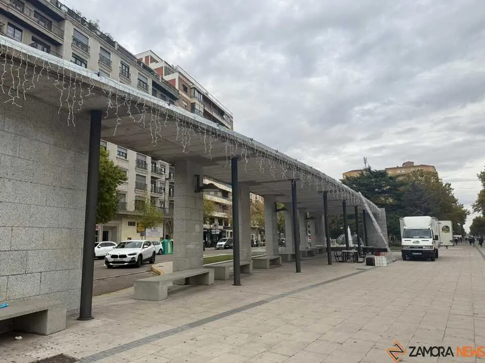 Montaje luces de navidad Zamora _3