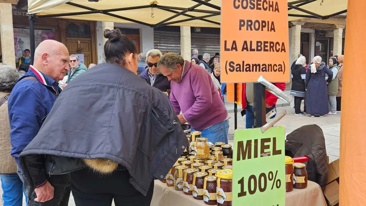 feria de los santos en Fuentasúco _7