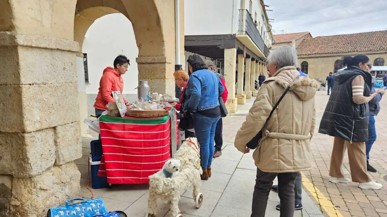 feria de los santos en Fuentasúco _15