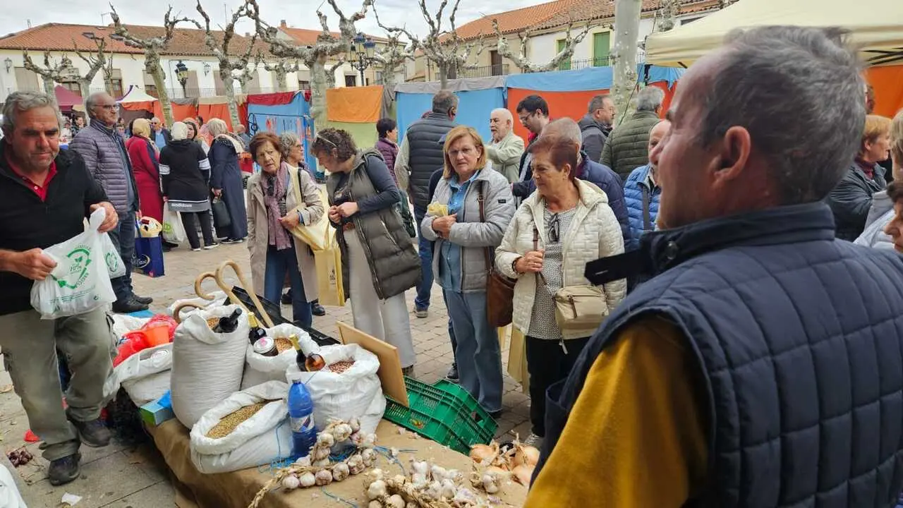 feria de los santos en Fuentasúco _27