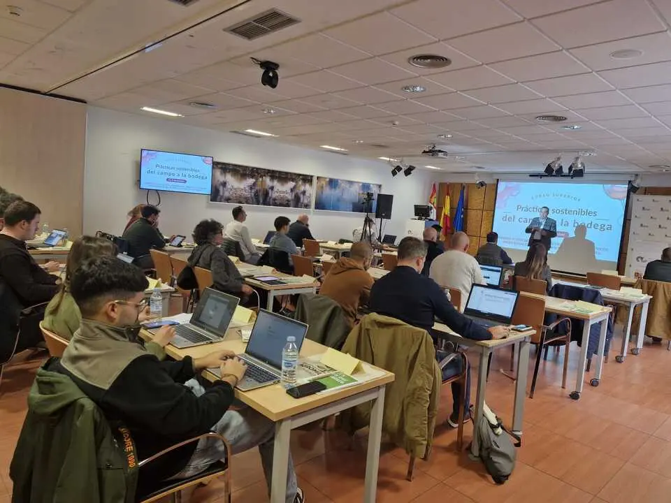 Viticultores y bodegueros de Castilla y León se forman en sostenibilidad y tecnología