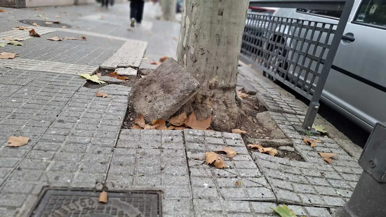 Acera reventada en la Avenida de Requejo