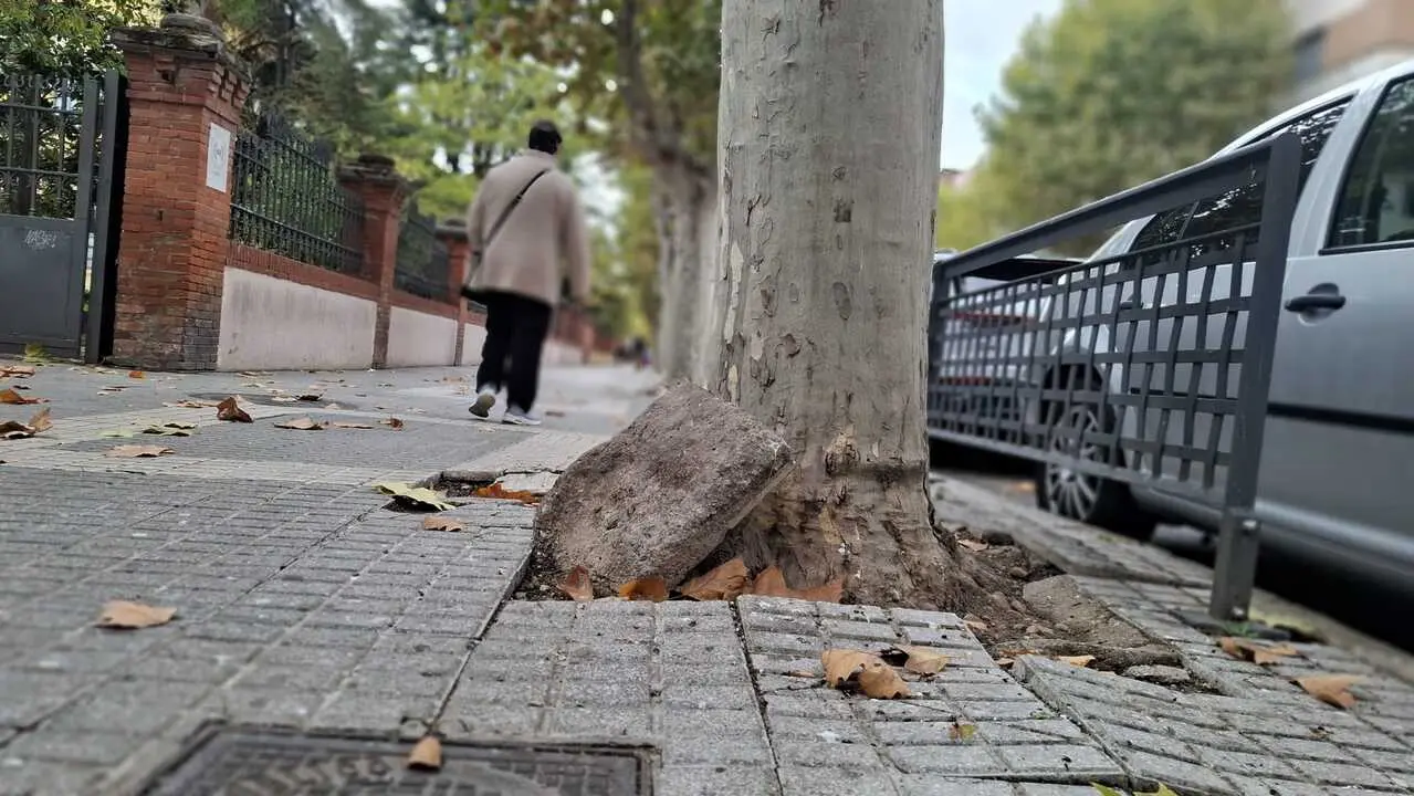 Acera Avenida de Requejo