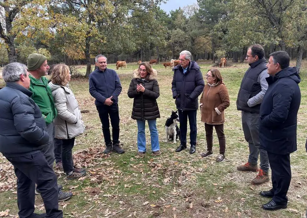 Visita explotación ganado extensivo