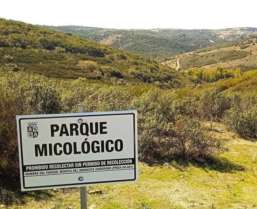 parque micológico de Zamora