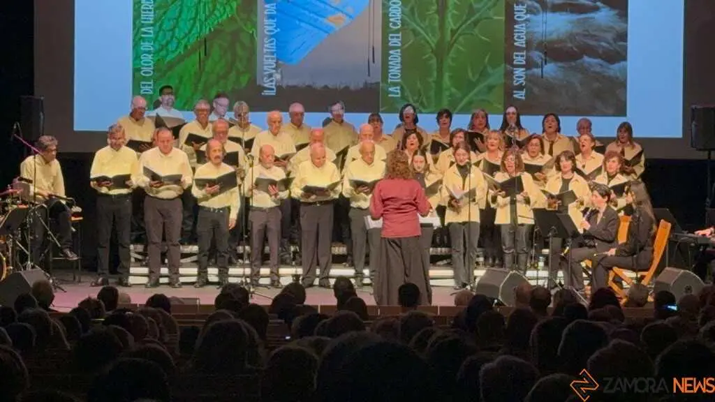 Concierto Alollano _25