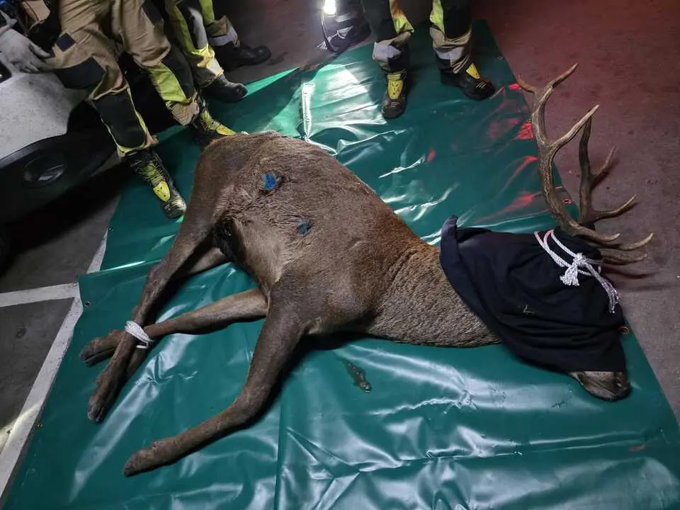 30bfcf40-1285-4884-b0ee-540555e3165c