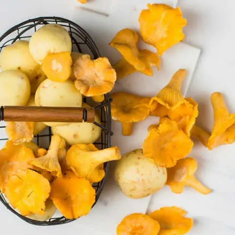 Setas listas para cocinar