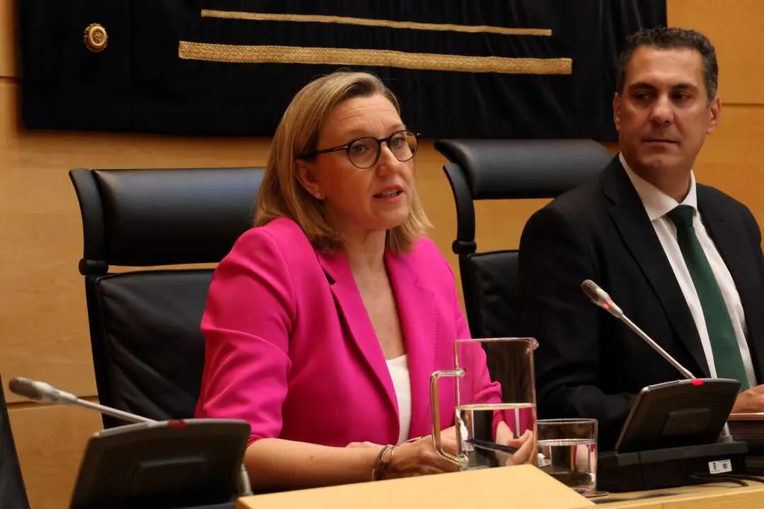 Isabel Blanco, durante la presentación de los Presupuestos