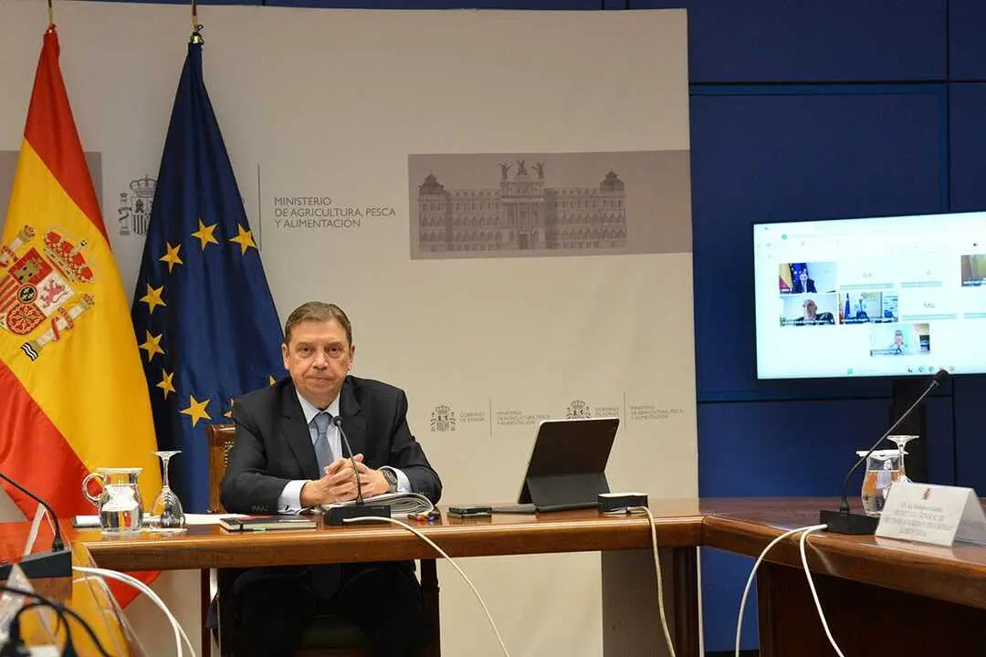 El ministro de Agricultura, Pesca y Alimentación, Luis Planas, durante la reunión de los Consejos Consultivos de Política Pesquera y Política Agrícola para Asuntos Comunitarios