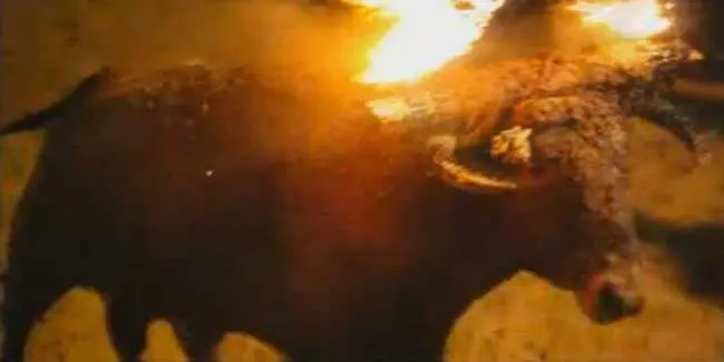 Toro Júbilo en Medinaceli. Foto GuiaSoria.es