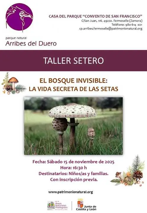 cartel taller de setas