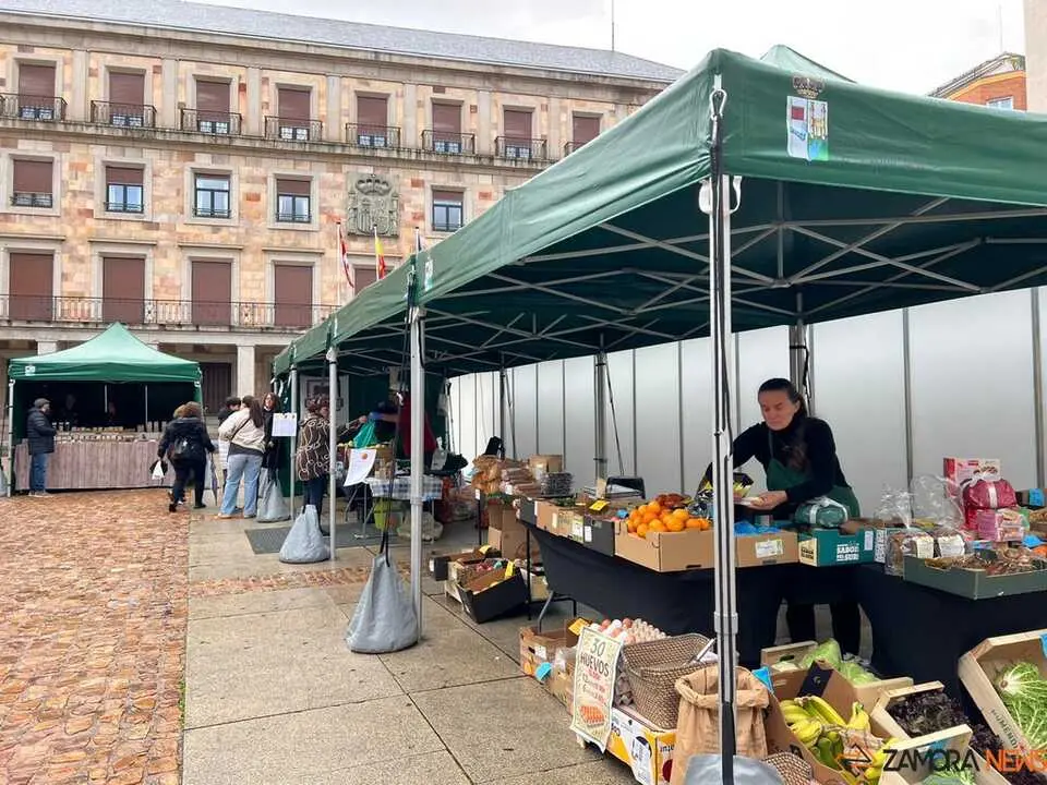 Mercado ecológico de Zamora  _3