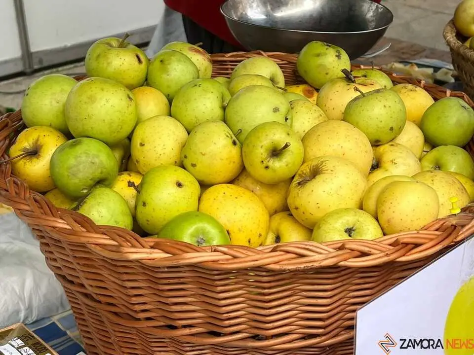 Mercado ecológico de Zamora  _7