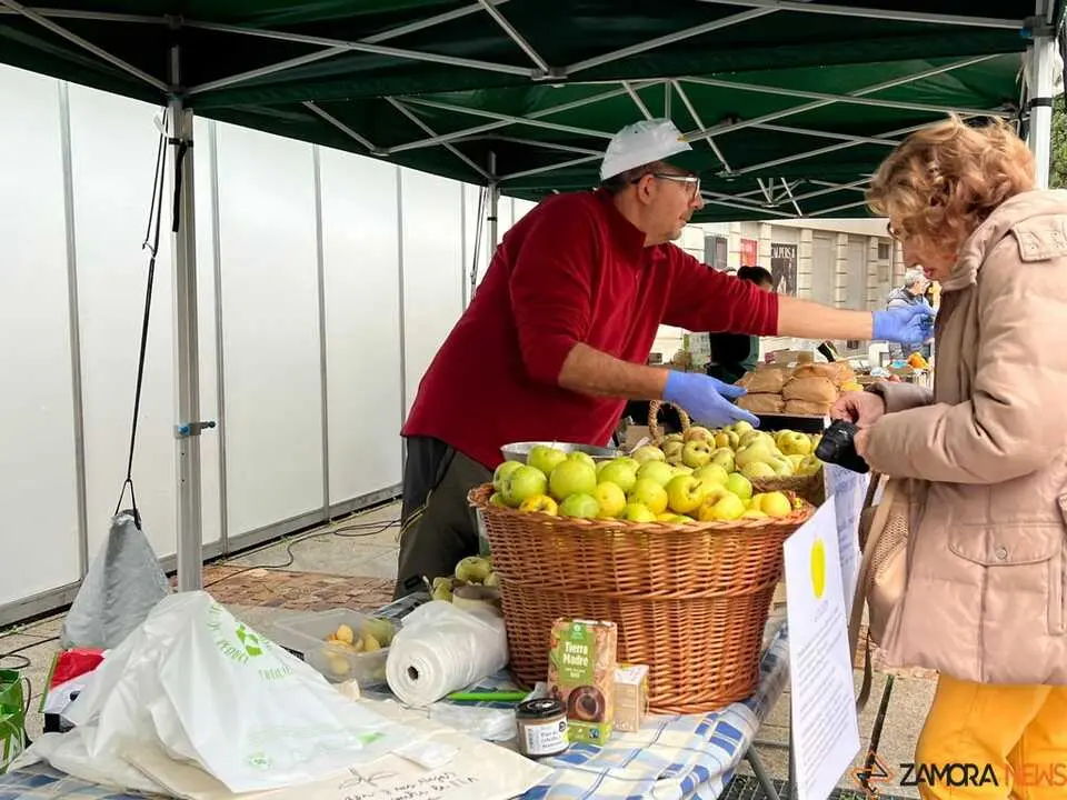 Mercado ecológico de Zamora  _8