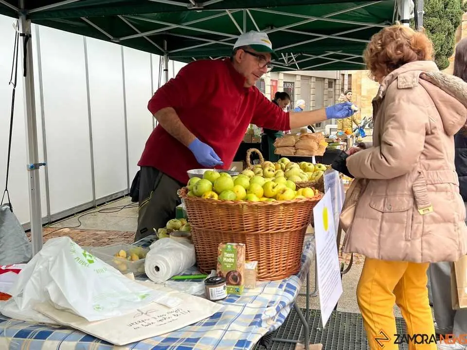 Mercado ecológico de Zamora  _9