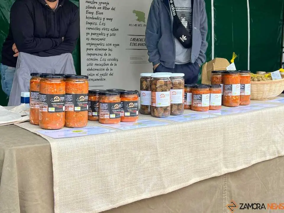 Mercado ecológico de Zamora  _19