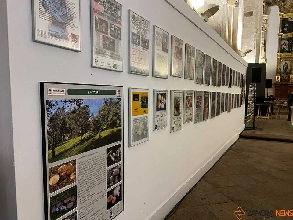 Exposición Micológica Zamora  _5