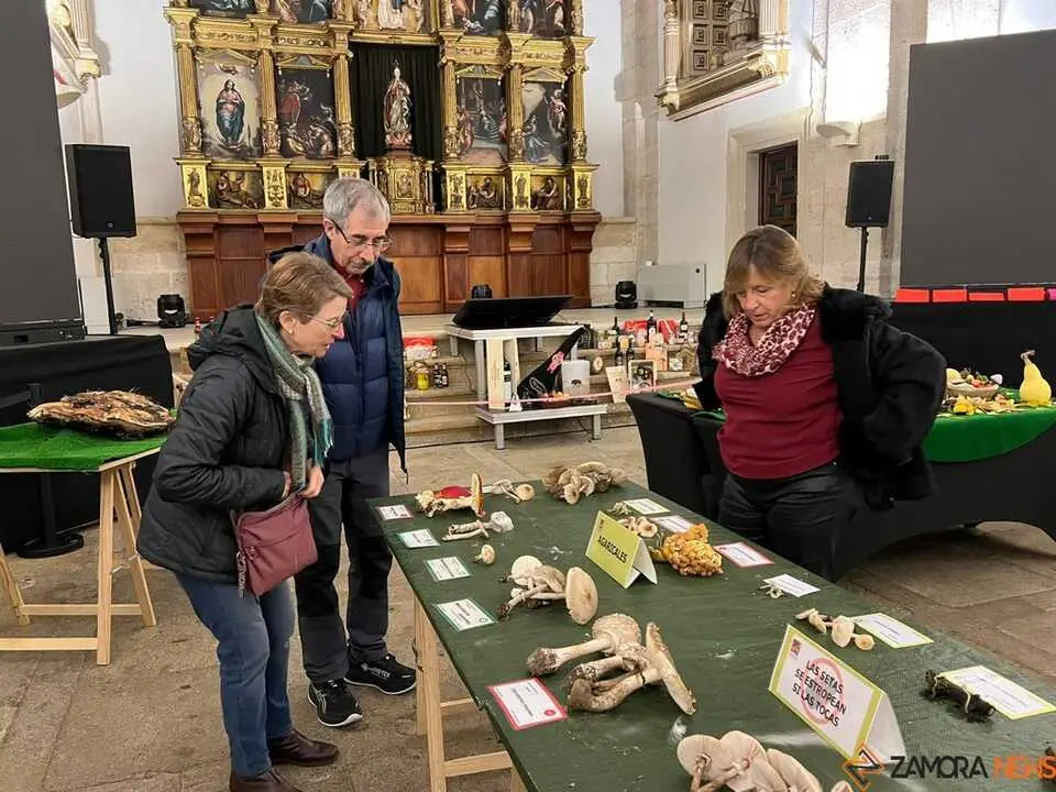 Exposición Micológica Zamora  _8