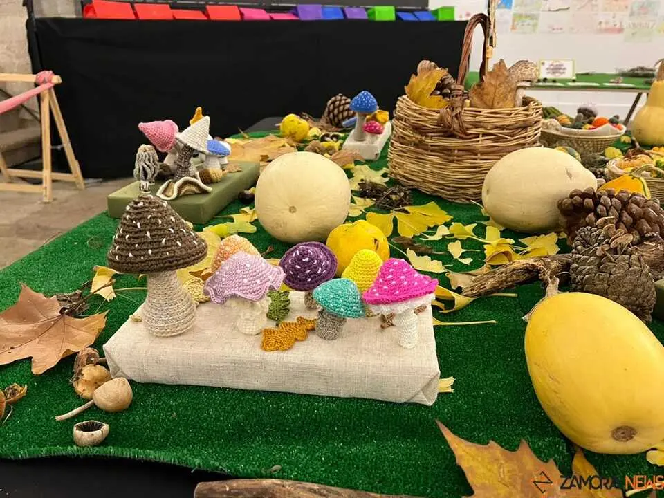 Exposición Micológica Zamora  _10