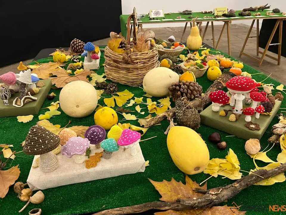 Exposición Micológica Zamora  _11