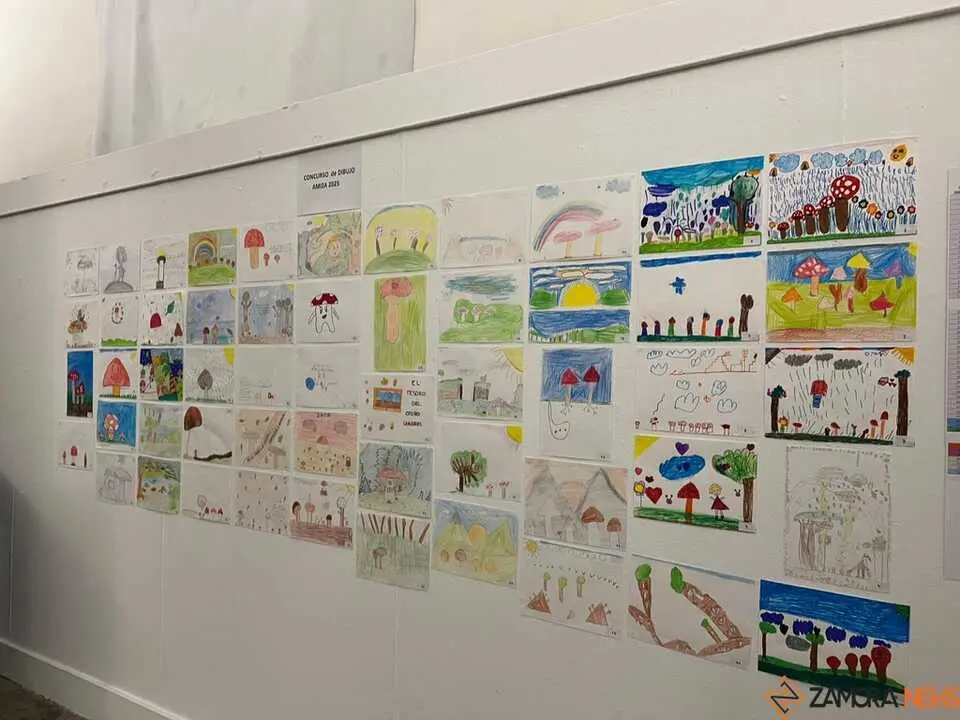 Exposición Micológica Zamora  _13