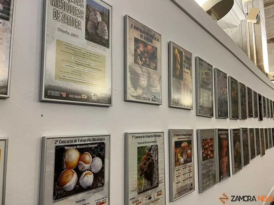 Exposición Micológica Zamora  _15