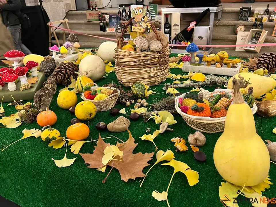 Exposición Micológica Zamora  _22