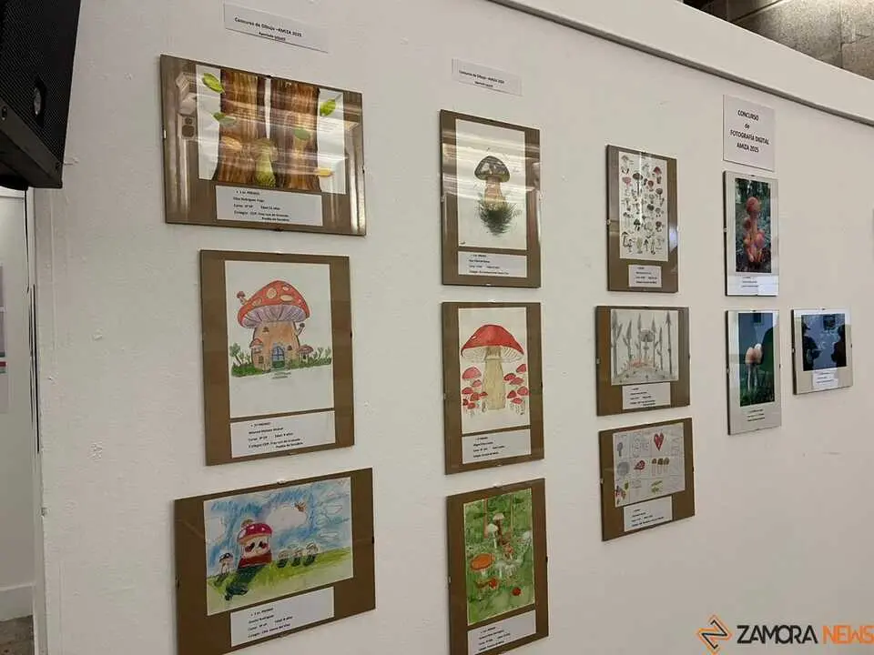 Exposición Micológica Zamora  _24