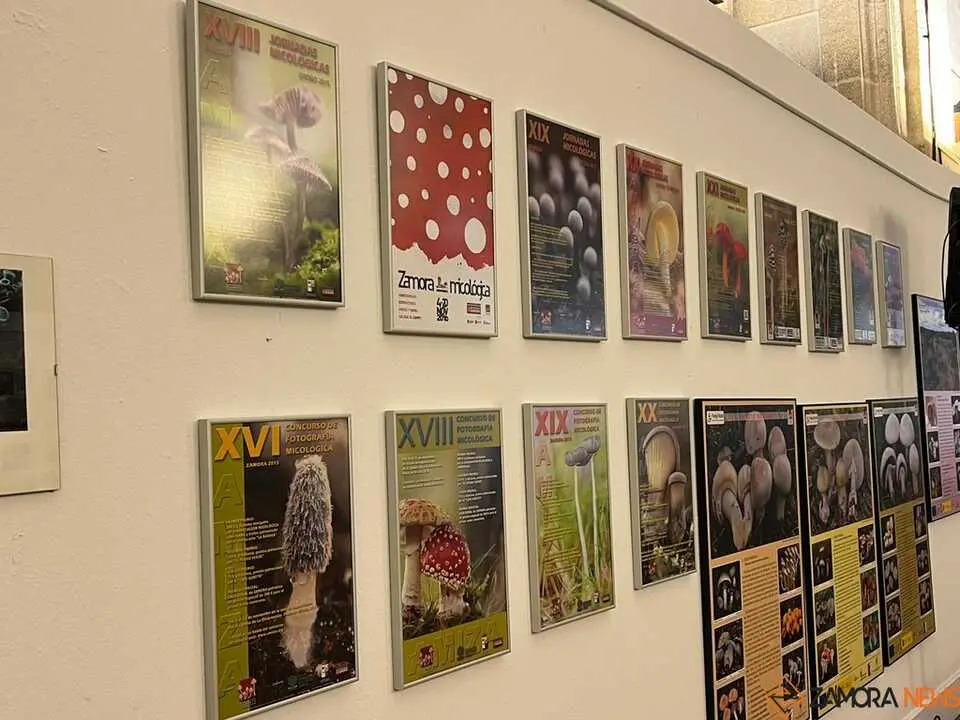 Exposición Micológica Zamora  _27