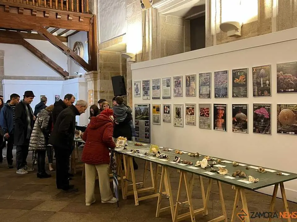 Exposición Micológica Zamora  _30
