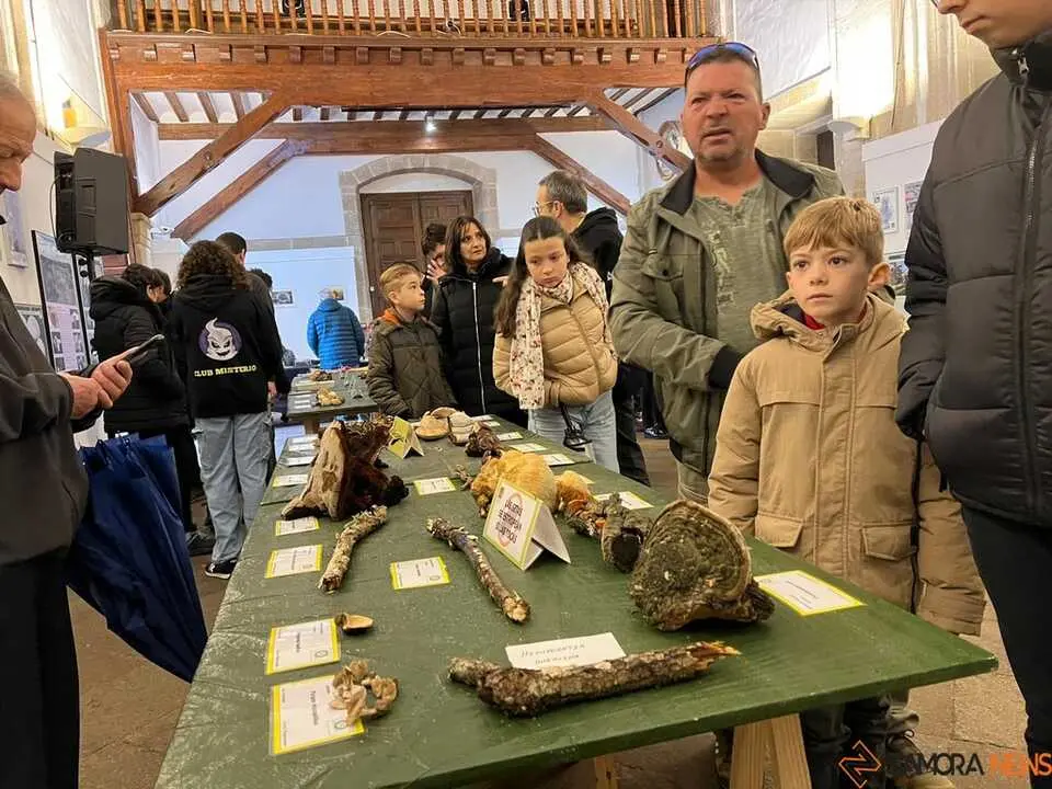 Exposición Micológica Zamora  _31