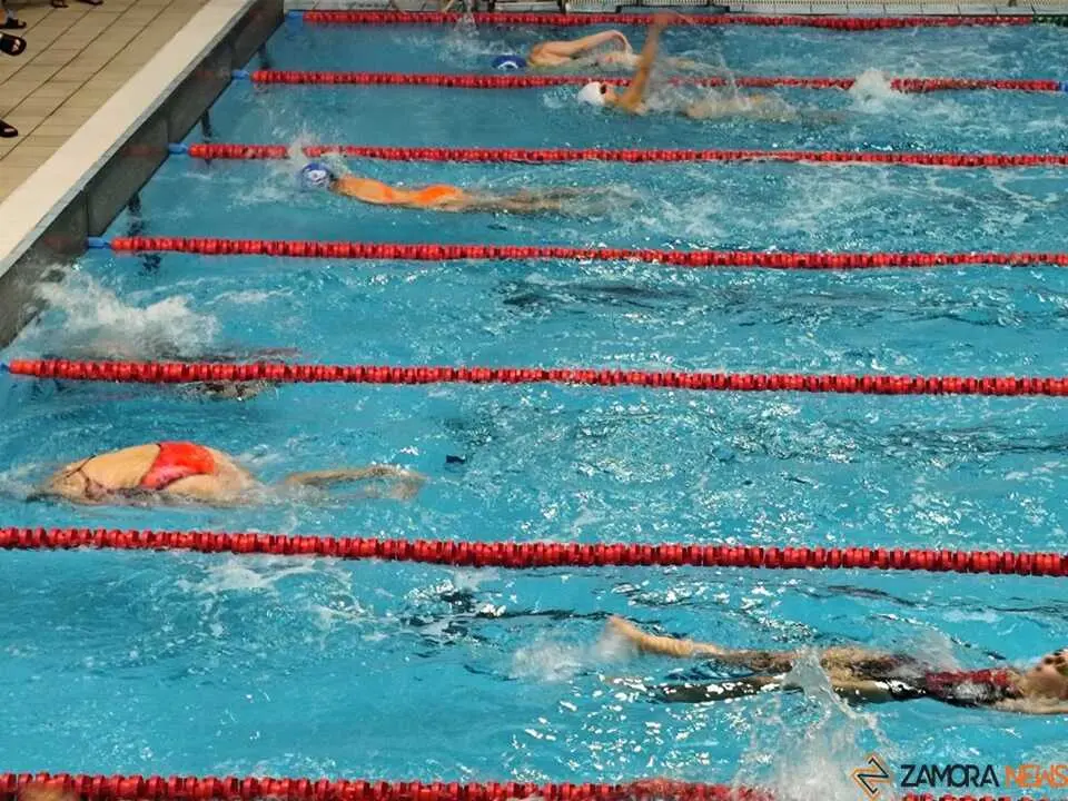 Open Máster Ciudad de Zamora- Nadador Completo _7