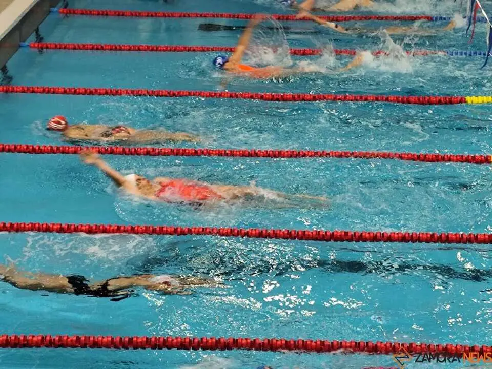 Open Máster Ciudad de Zamora- Nadador Completo _8