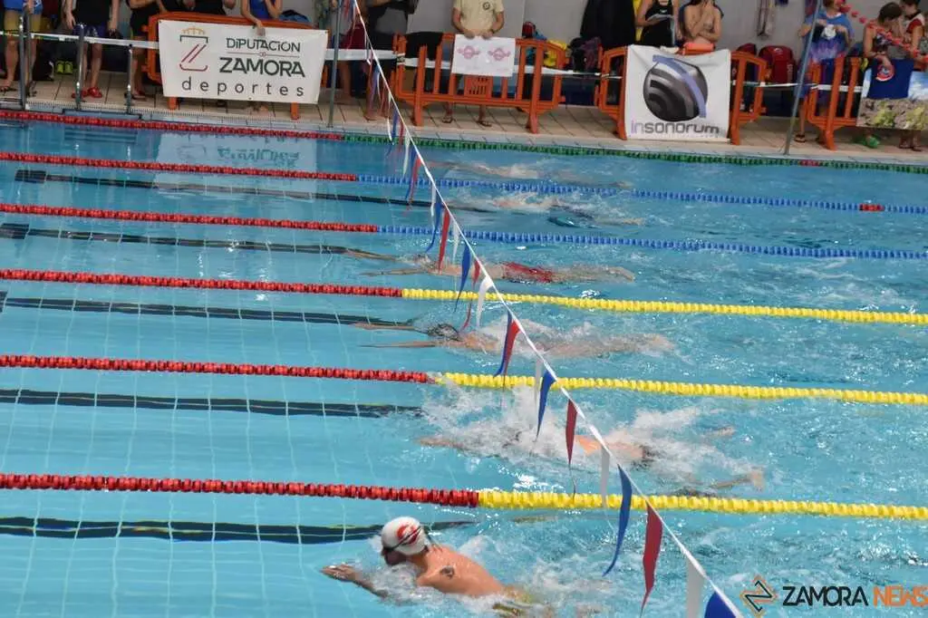 Open Máster Ciudad de Zamora- Nadador Completo _17