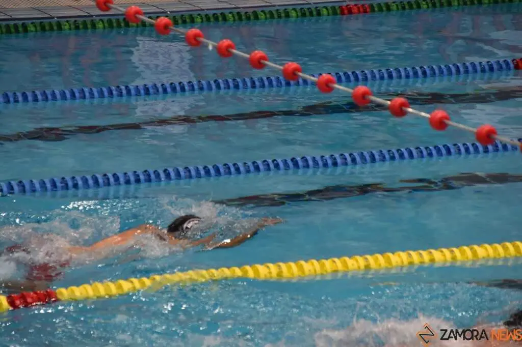 Open Máster Ciudad de Zamora- Nadador Completo _18