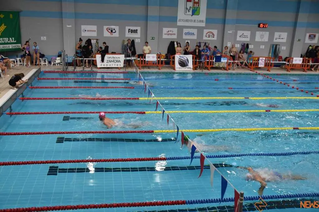 Open Máster Ciudad de Zamora- Nadador Completo _27