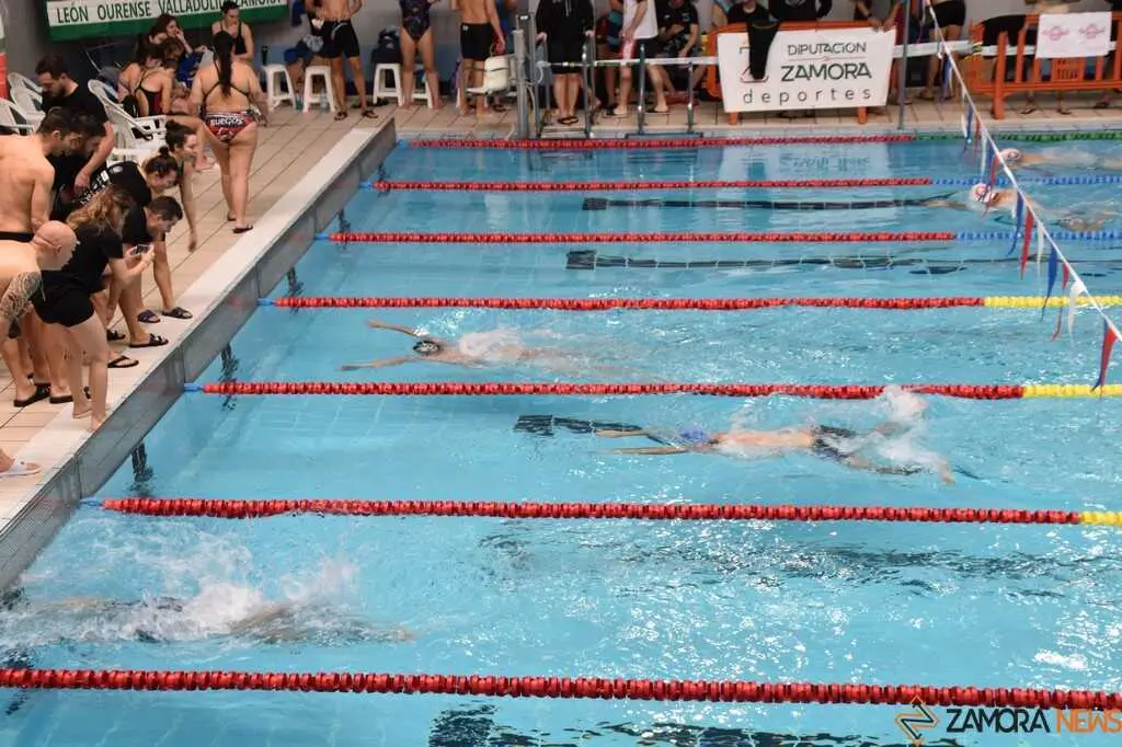 Open Máster Ciudad de Zamora- Nadador Completo _37